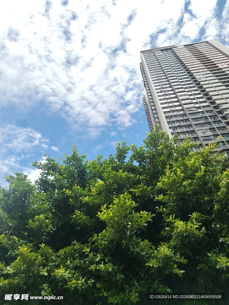 绿树掩映下的高楼大厦