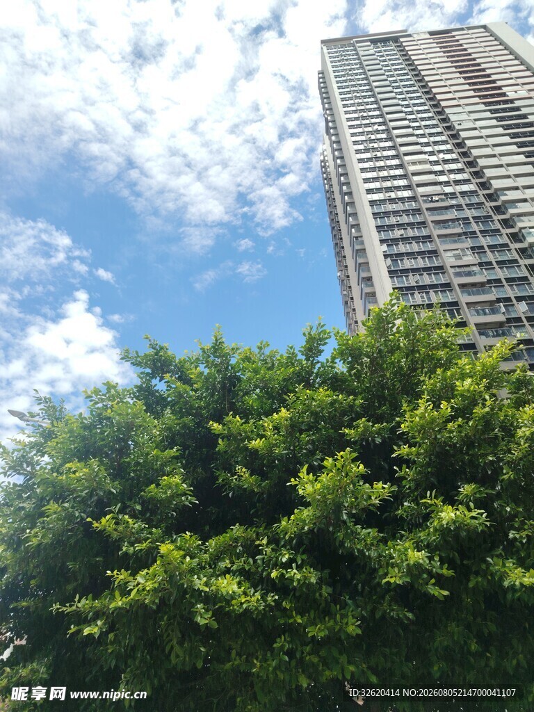 绿树掩映下的摩天大楼