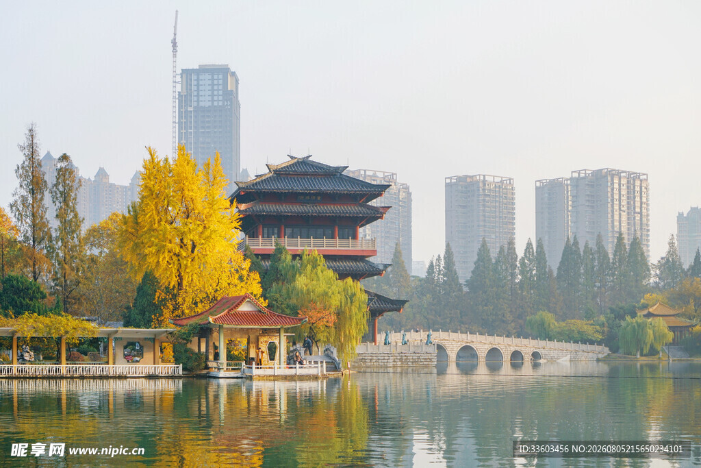 湖畔古建与城市风光美景