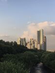 河畔城市风光