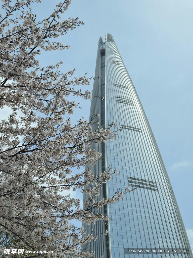 樱花映衬下的摩天大楼