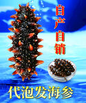 自产自销代发海参展示