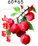 山楂莓莓 贴纸不干胶