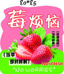 新鲜草莓 告别莓烦恼