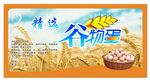 精选谷物产品展示