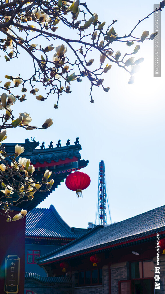 天津大悲禅院玉兰花摩天轮