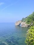 大海  海边  树 草 蓝天