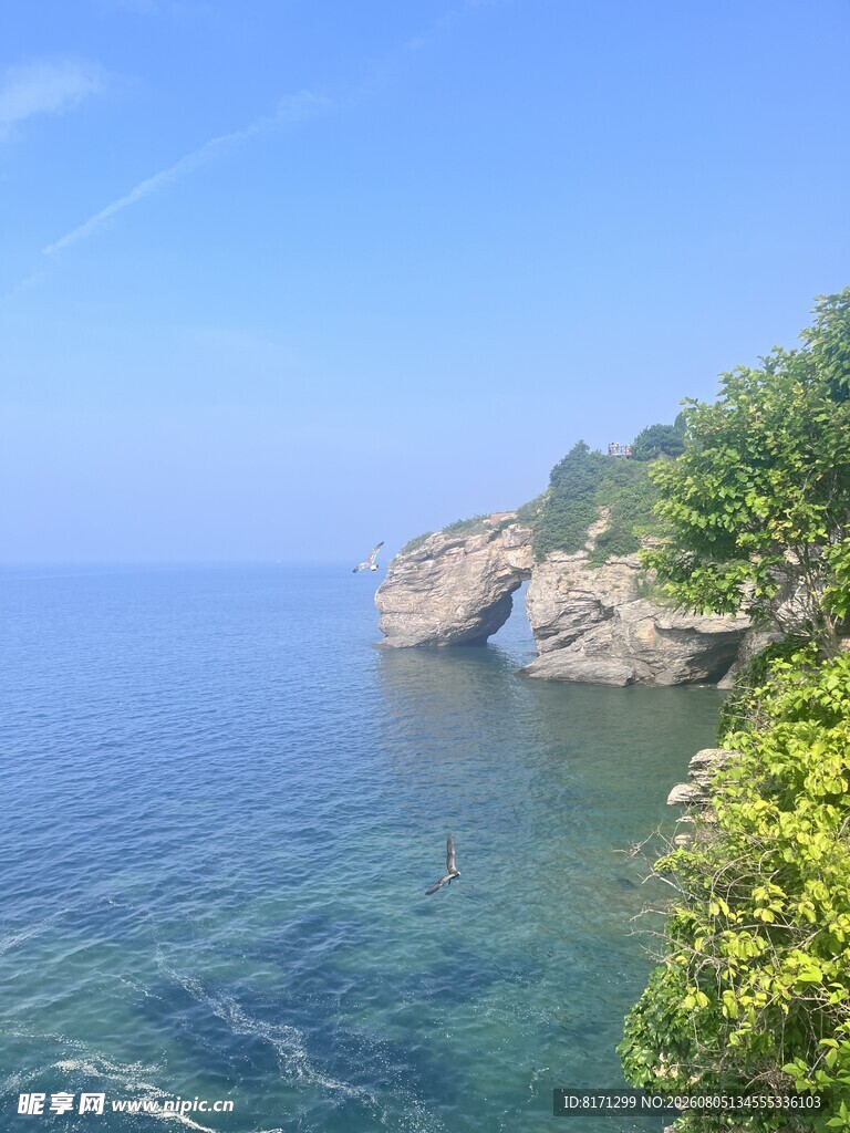 大海  海边  树 草 蓝天