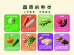 蔬菜种类展示
