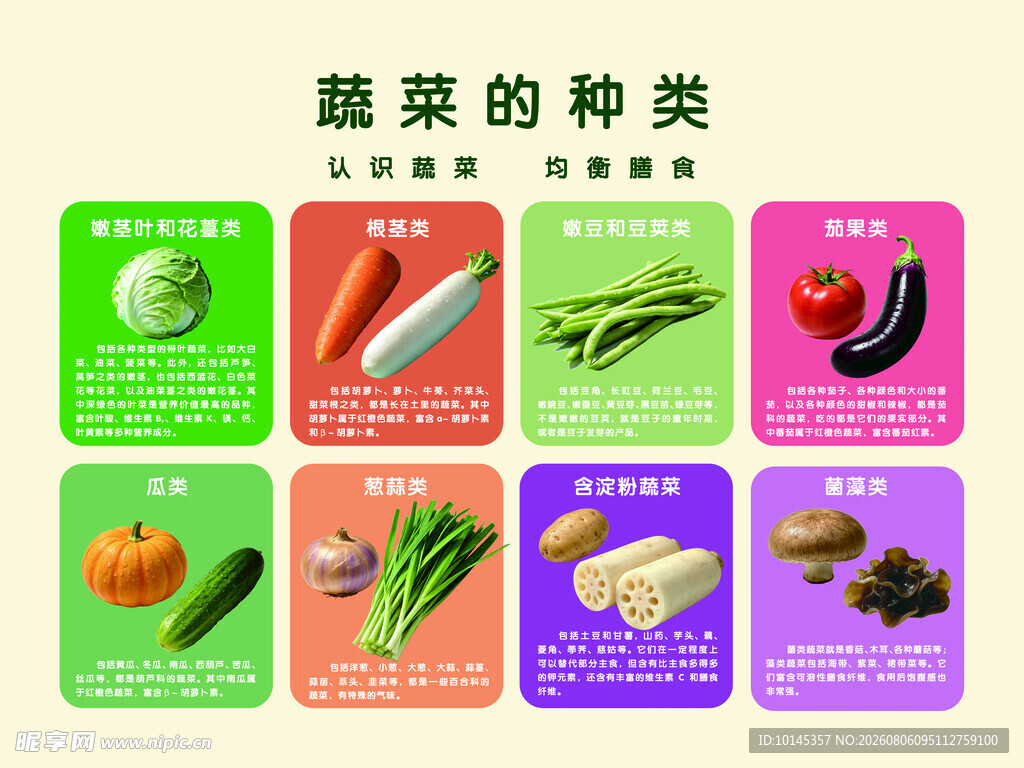蔬菜种类展示