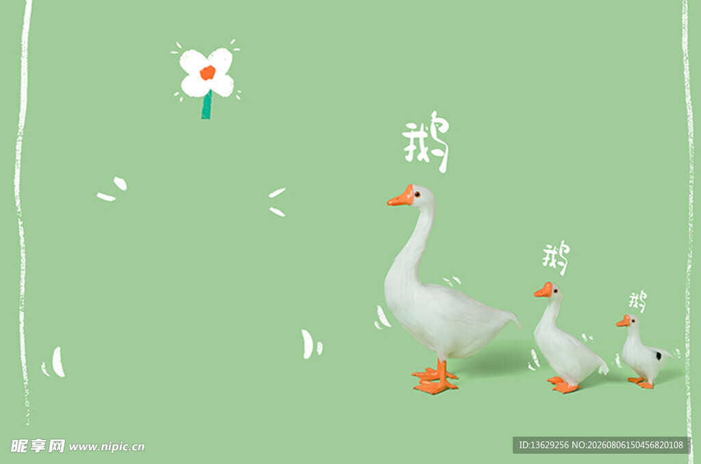 大白鹅