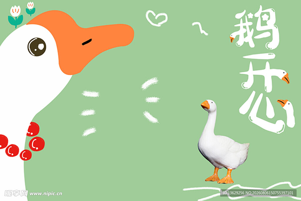 大白鹅