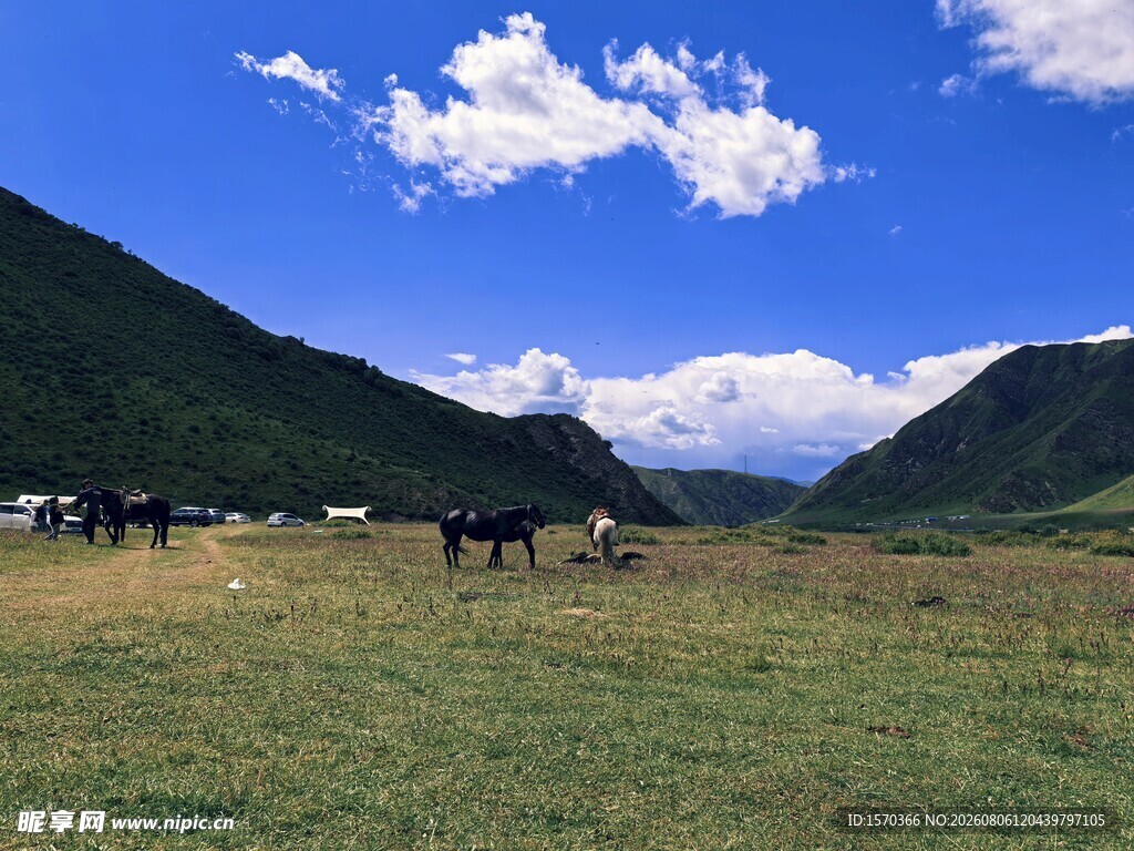 草原牧场景色