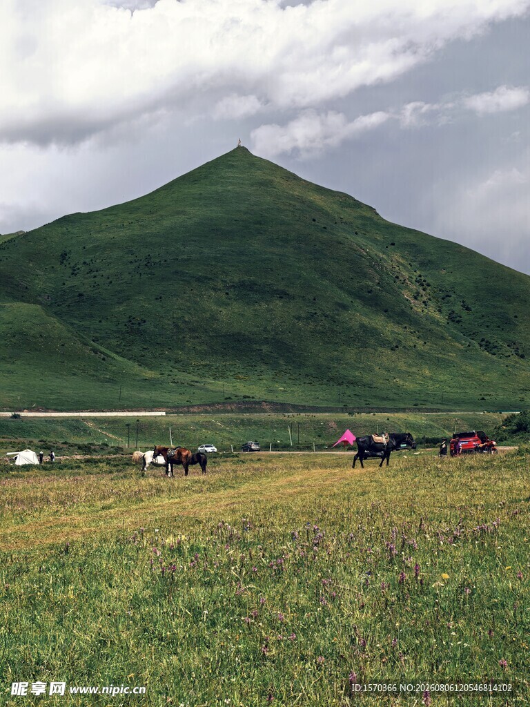 草原山丘间的牲畜风景
