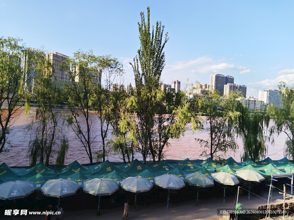 河畔绿植与停泊船只景观