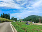 千野草山间公路旁的美丽自然景色