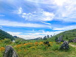 千野草场山间花海美景