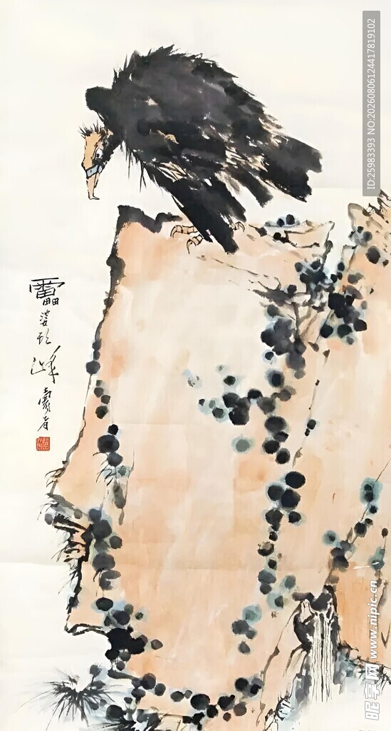 秃鹫俯瞰图