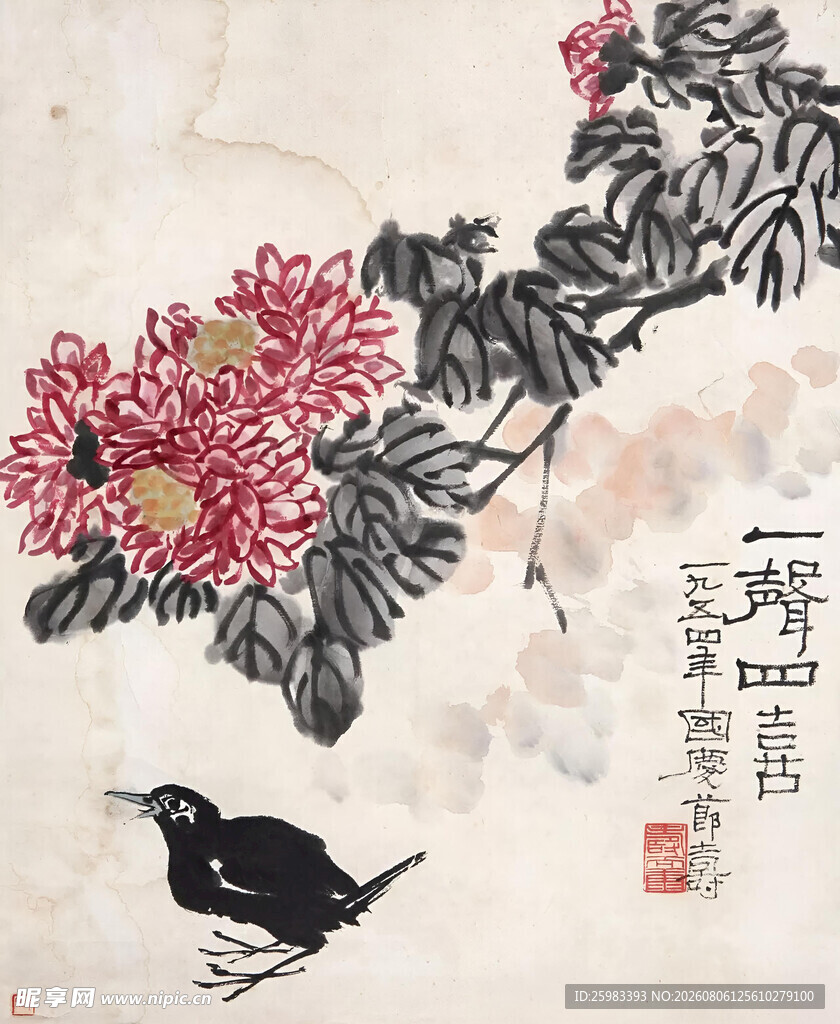 菊花乌鸦图