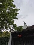 荡口古镇