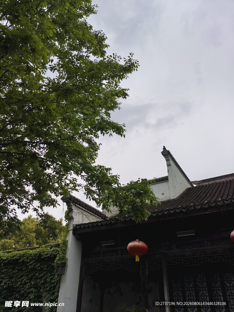 荡口古镇