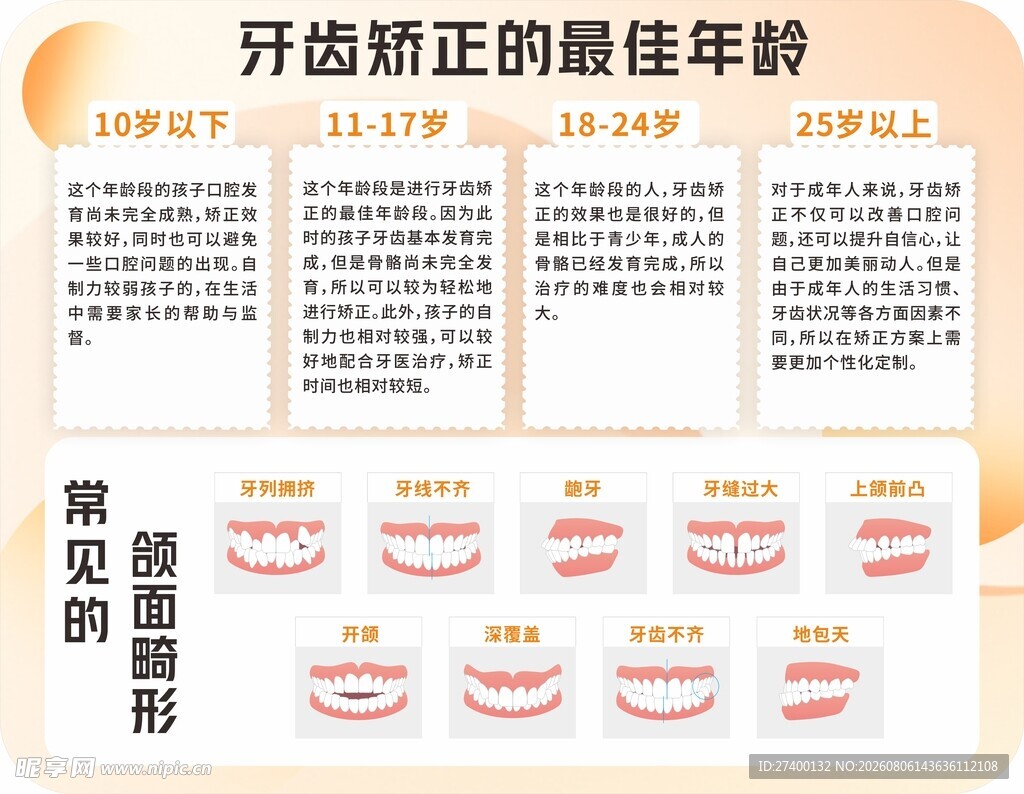 牙齿萌出规律图示