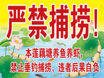 鱼塘严禁捕捞告示牌