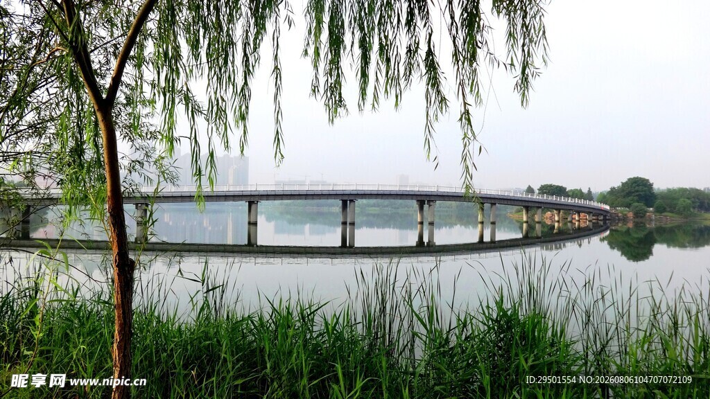 湖畔垂柳与桥的静谧景致