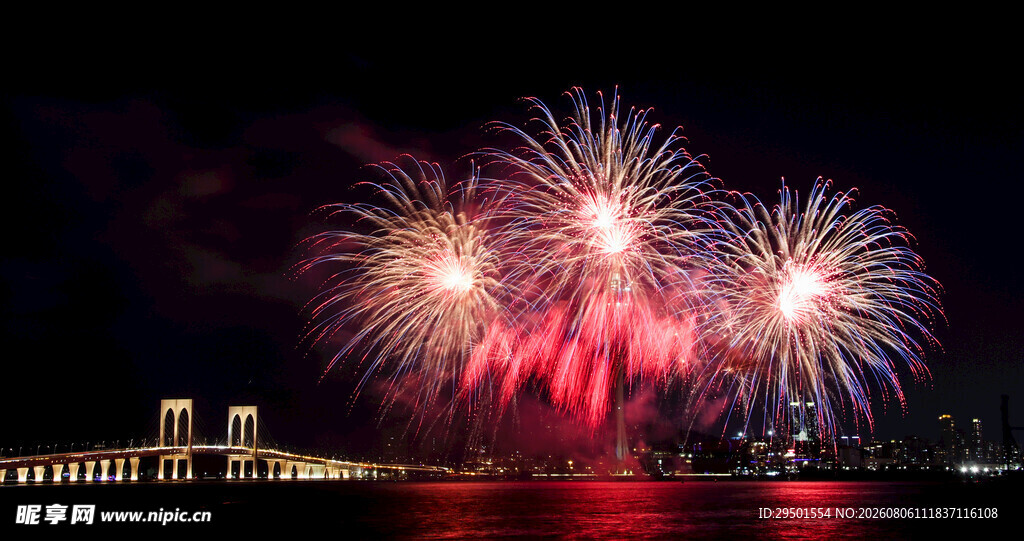 夜空中绚烂的烟花绽放