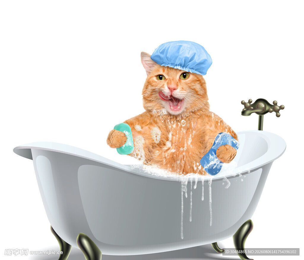 猫咪惬意享受泡泡浴