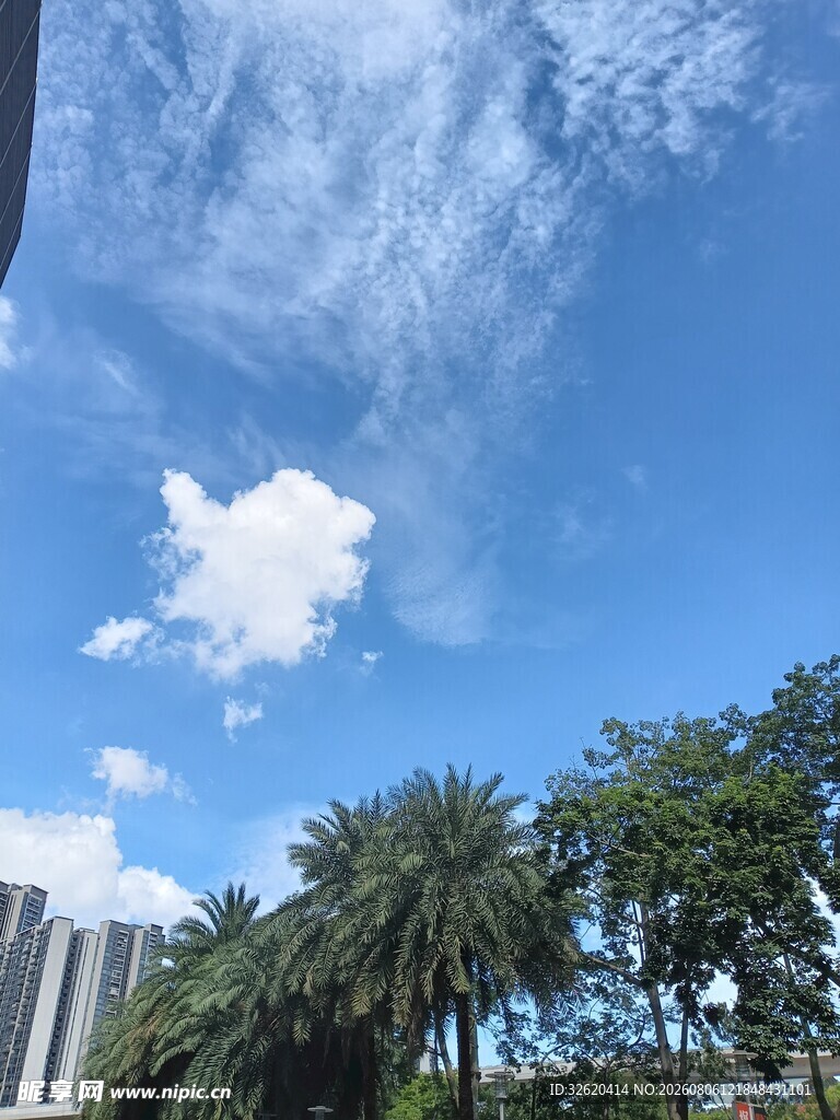 蓝天绿树间的美丽景致