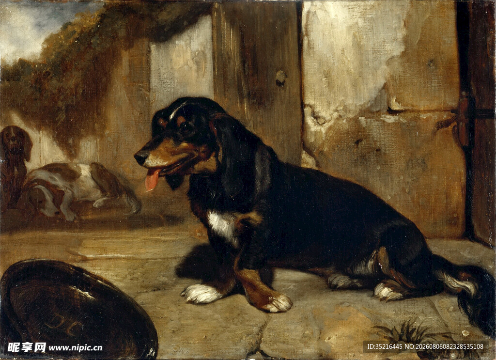 卧坐的三色犬