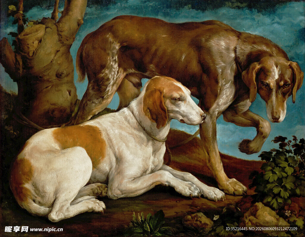 两只猎犬的静谧场景