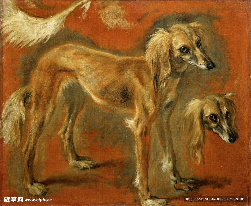 两只优雅猎犬的古典画作