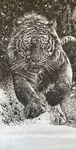 老虎版画