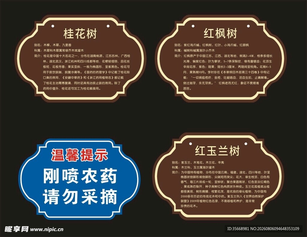 树名 树挂牌 贴牌 