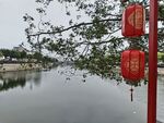河畔红灯笼装点宁静水景