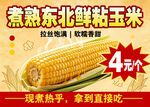 煮熟东北甜粘玉米仅4元