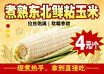 煮熟东北甜粘玉米4元