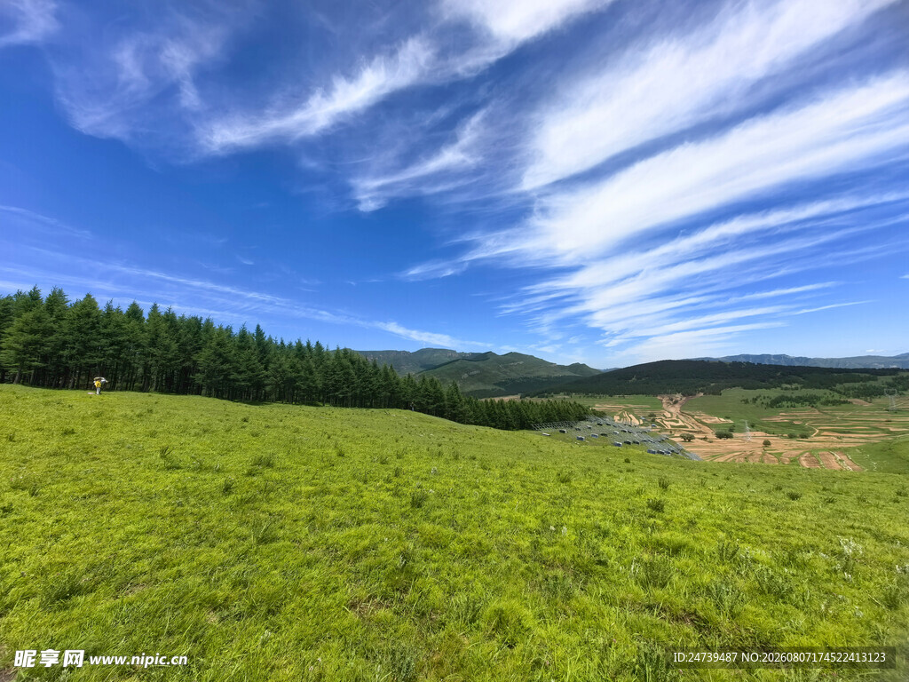 广袤绿野与蓝天绿树美景