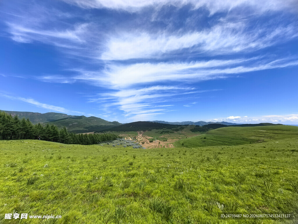 广袤绿野与蓝天白云美景