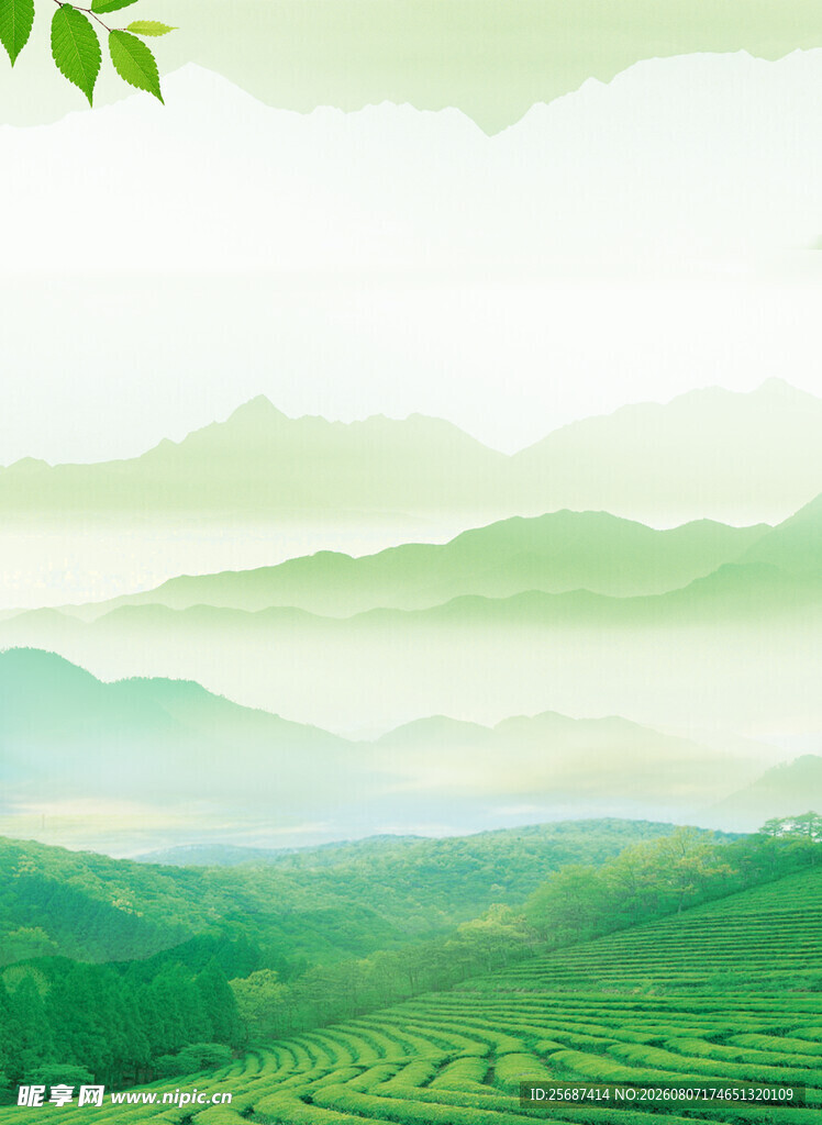 绿色清新背景