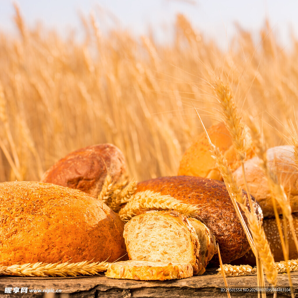 麦田中的美味面包