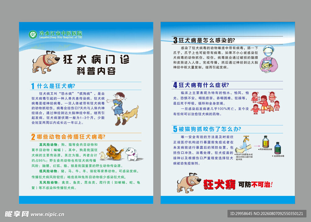 狂犬病知识宣传单