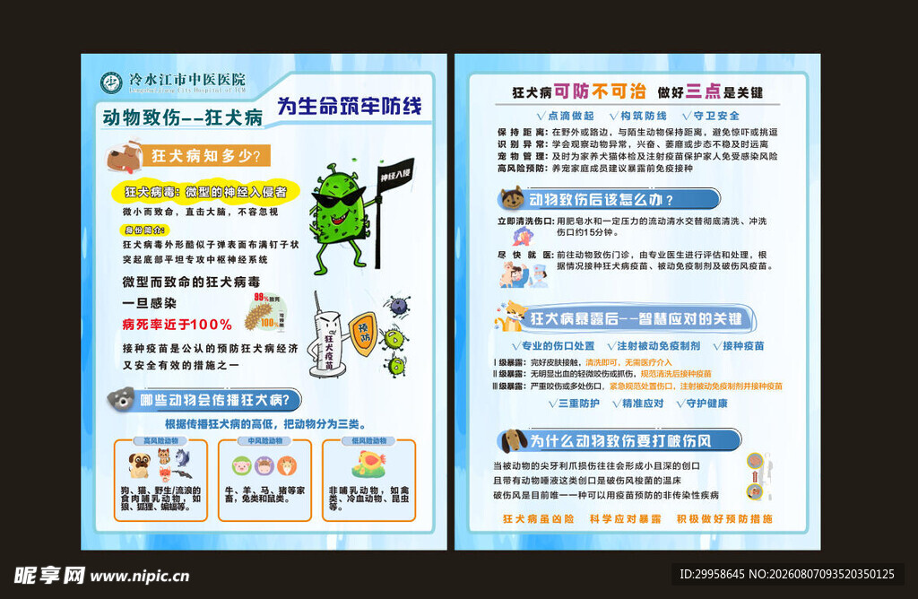 预防狂犬病知识宣传图片