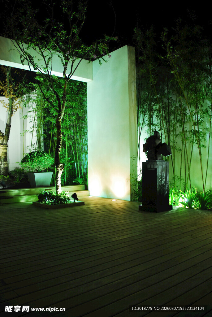 夜间庭院绿植景观照明