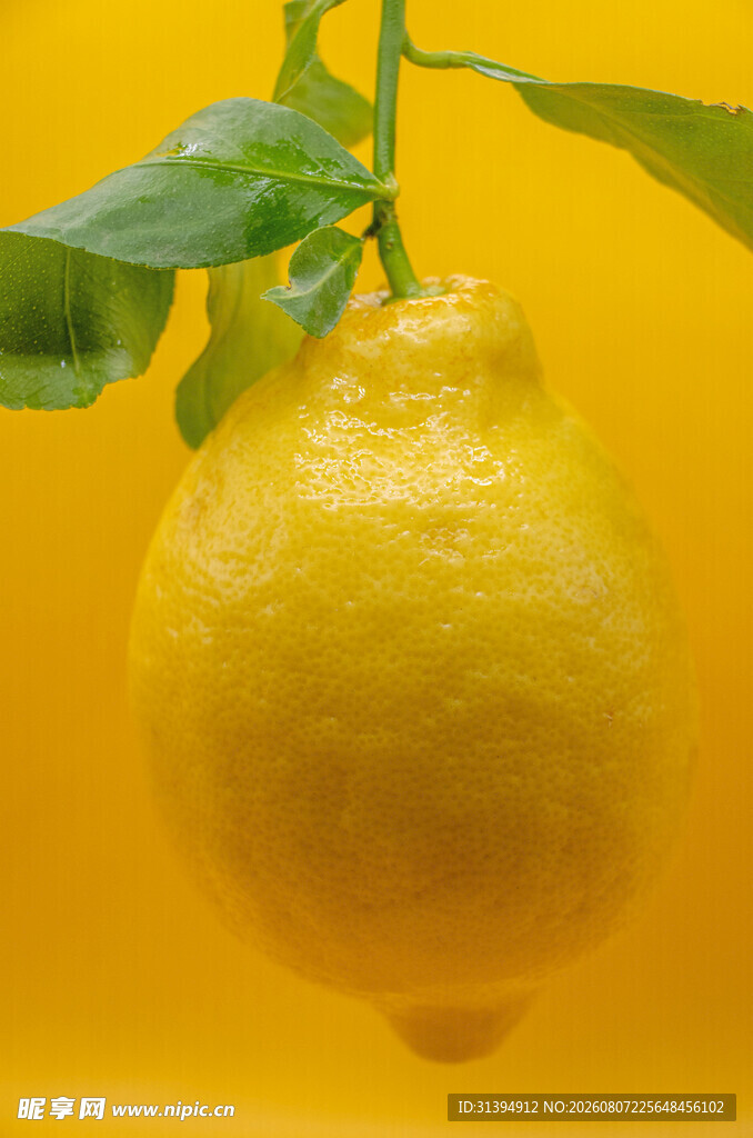 柠檬
