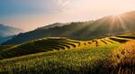 山间梯田迎日出美景