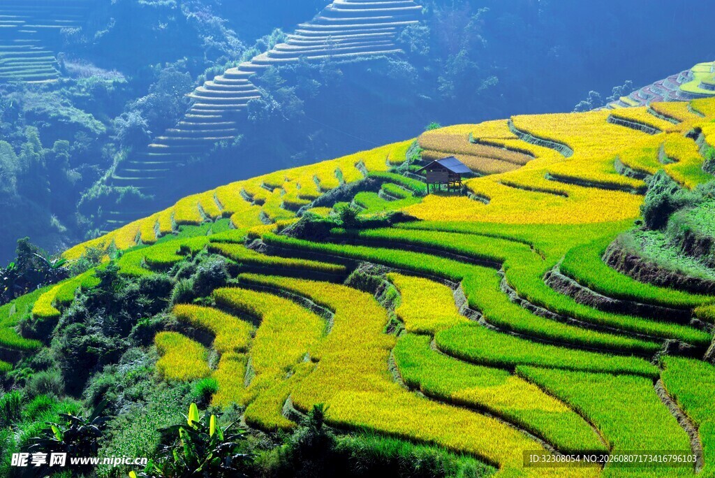 梯田美景