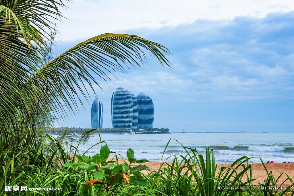 海滨风光绿植与高楼相映